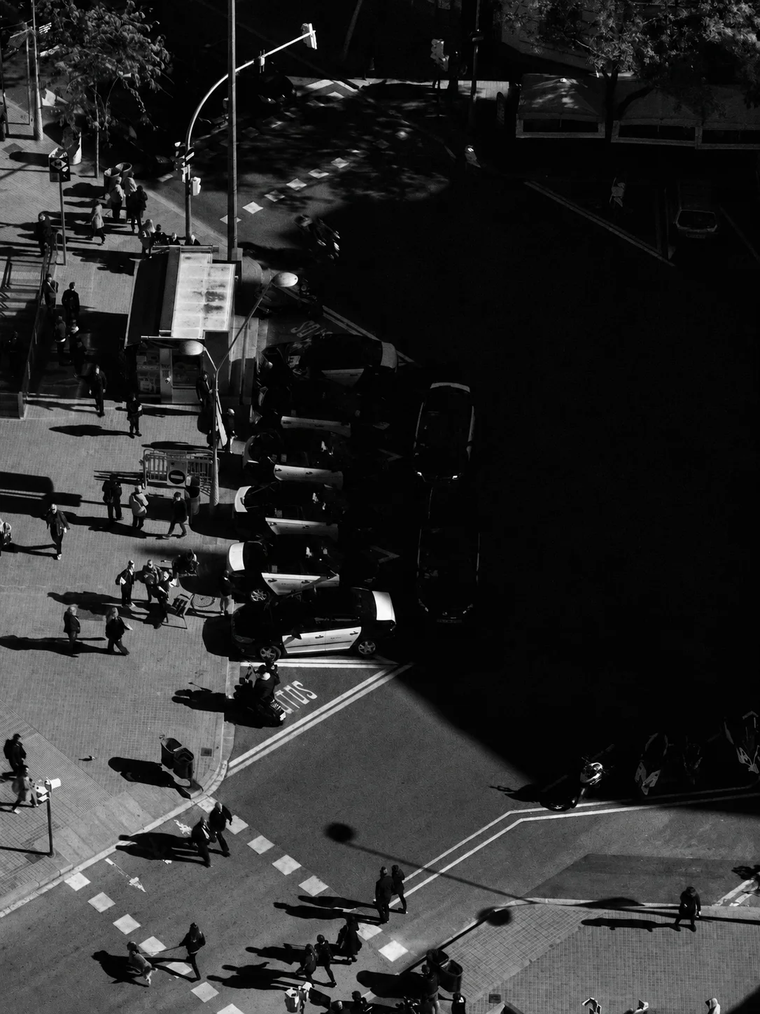 Personas y sombras en un cruce urbano visto desde arriba.